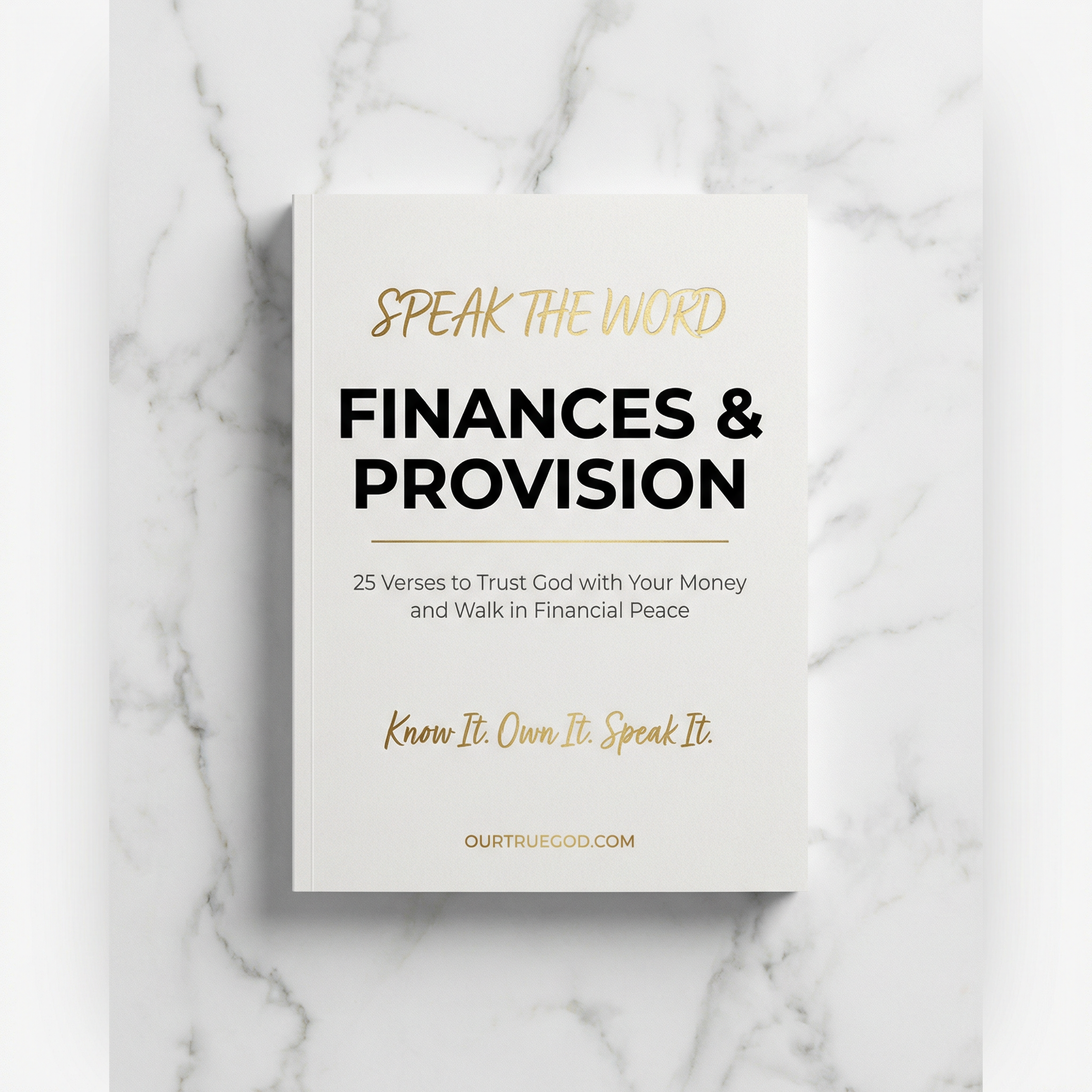 Speak The Word: Finances & Provision