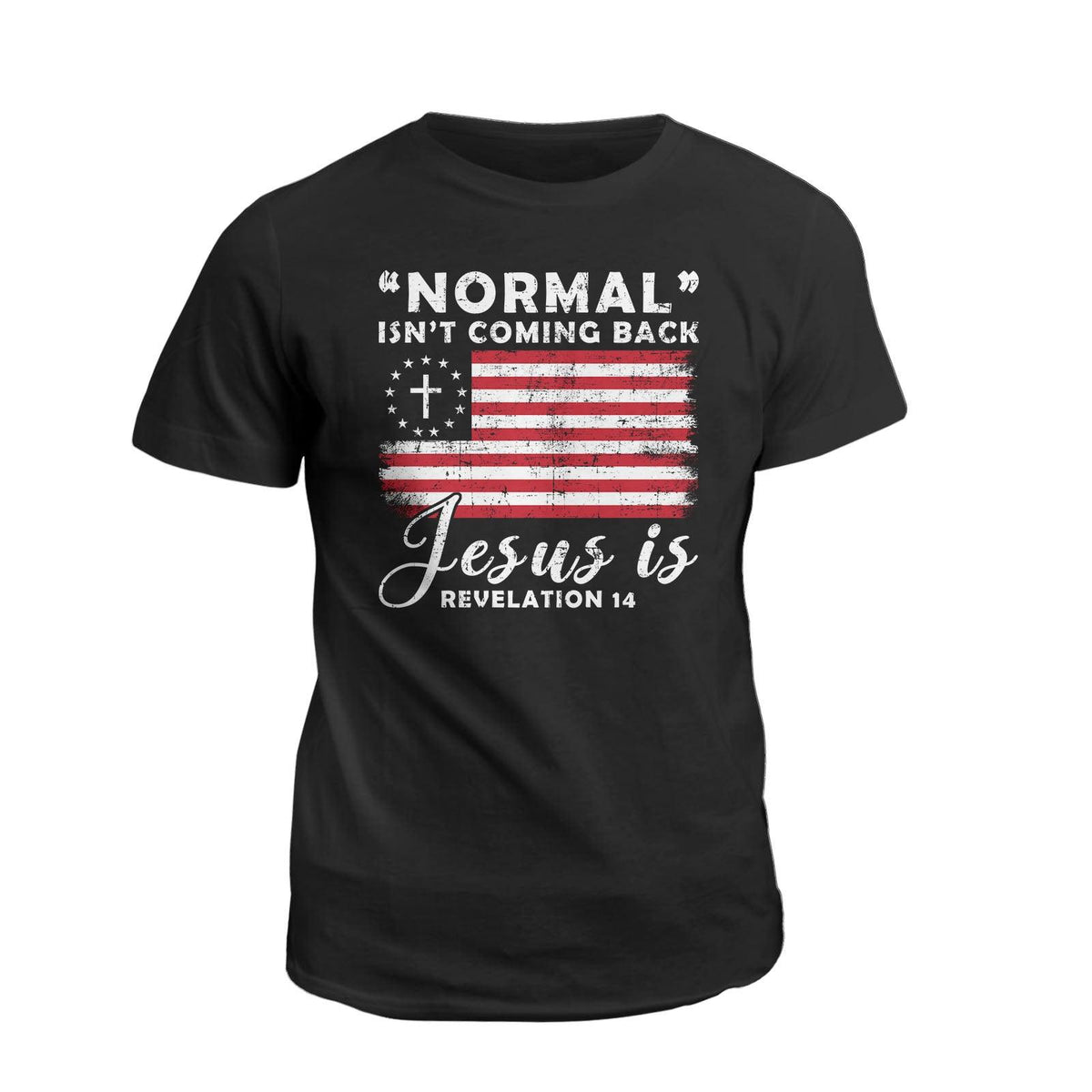 Normal Isn't Coming Back, Jesus Is Flag