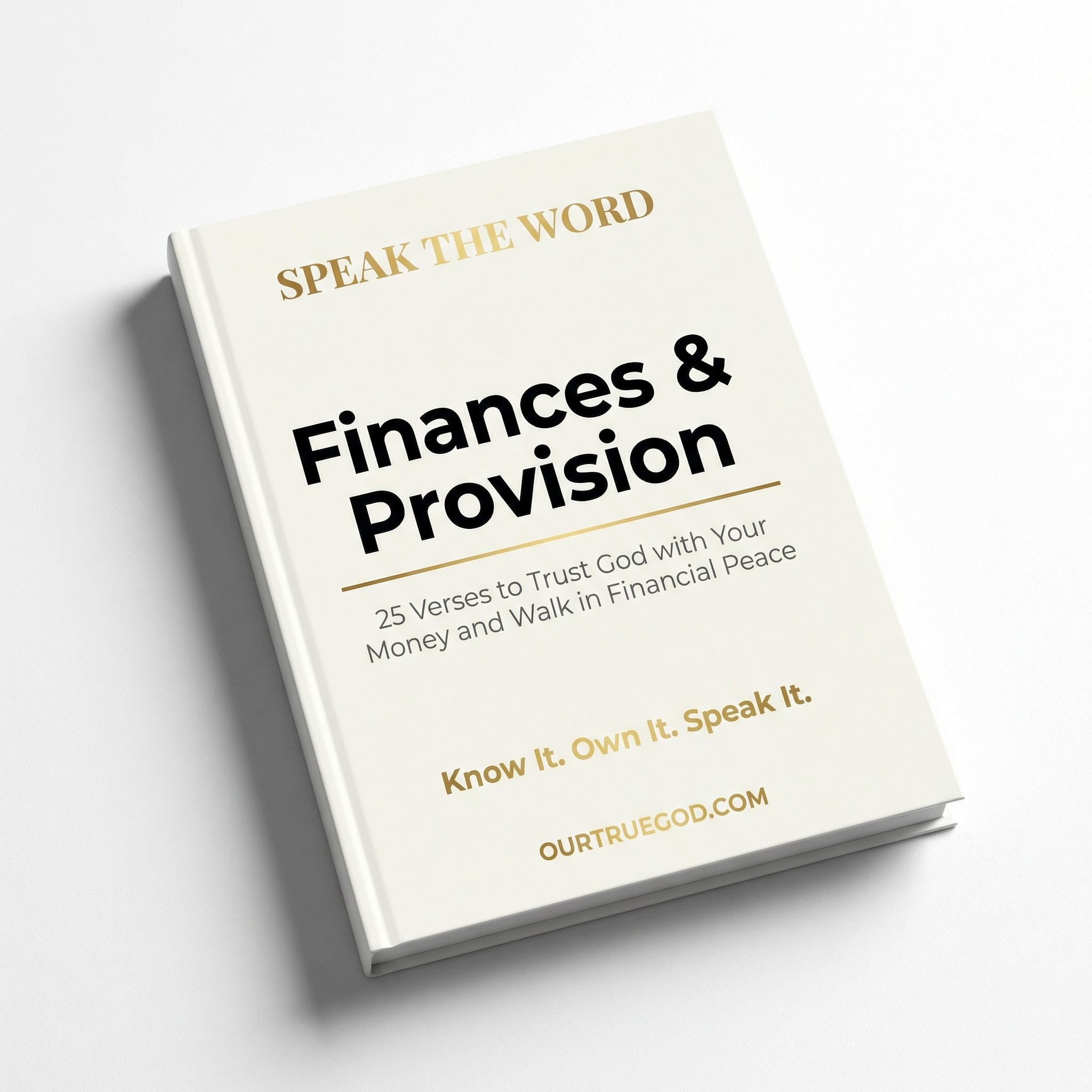 Speak The Word: Finances & Provision