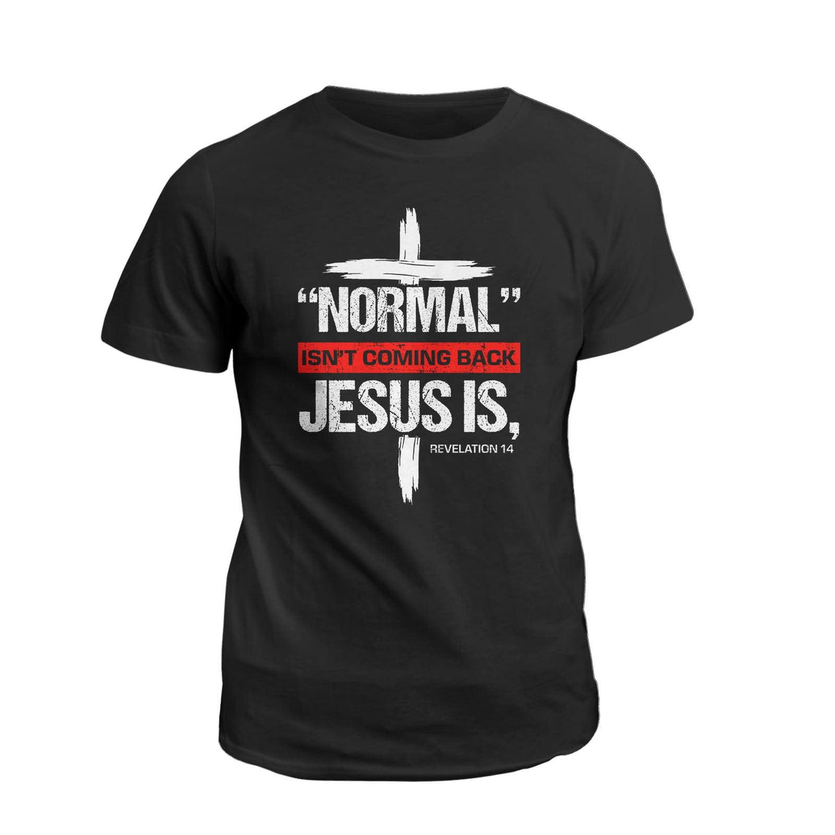 Normal Isn't Comming Back, Jesus Is