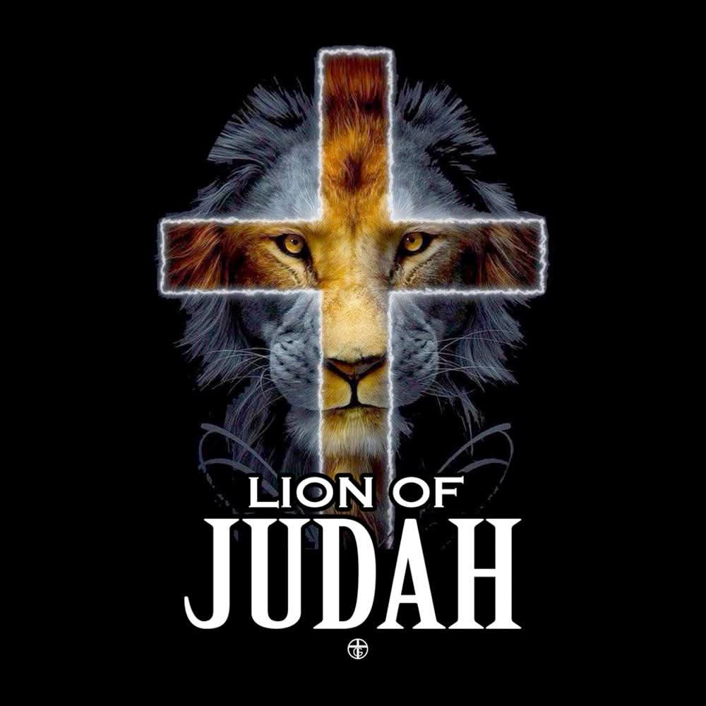 Lion Of Judah Cross Kids Shirts - Our True God